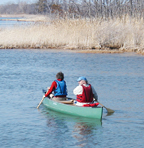 Selects the Stand up Paddle Board SUP Rentals Web Page