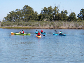 Kayak Rentals for Corporate and Team Building Groups