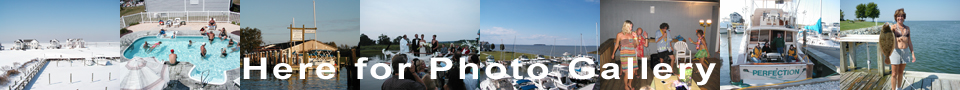 Tilghman Island Marina & Rentals offering boat slips and watercraft rentals