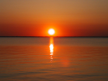 Click for a closer look.